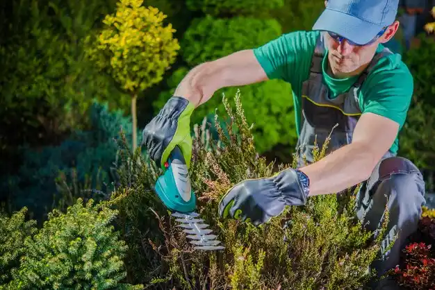 landscaping services Stewartsville